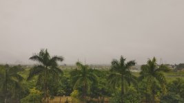 IMG_20220812_100200.jpg