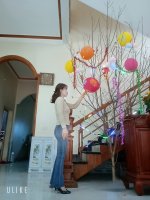 IMG_20230331_123553.jpg