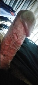 IMG_UPLOAD_20230725_233640.jpg