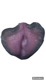 PhotoRoom-20230803_232126.png