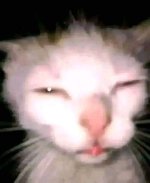 0DE449EA-EE3D-4D62-A086-7462E9D2802A.jpeg