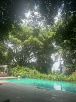 IMG_9678.jpeg