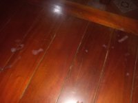 IMG_20240428_021552.jpg