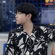 Hoàng Sơn113