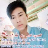 sơn lũi 1993