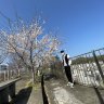 Hien271